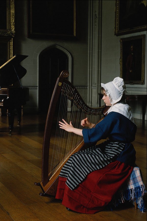 640039 Welsh Harpist, Plas Newydd, Anglesey A4 Photo Print
