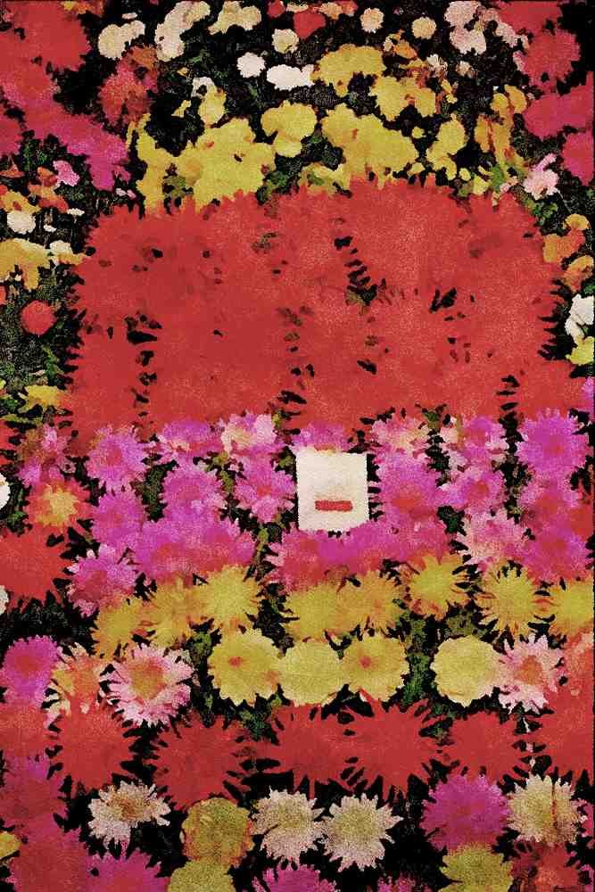640050 Denbigh Flower Show, Denbigh A4 Limited Edition Watercolour Print