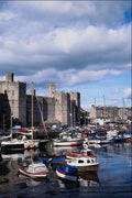 640053 Caernarfon Castle, Caernarfon, Snowdonia A4 Photo Print