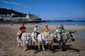640063 Donkey Rides, Llandudno A4 Photo Print