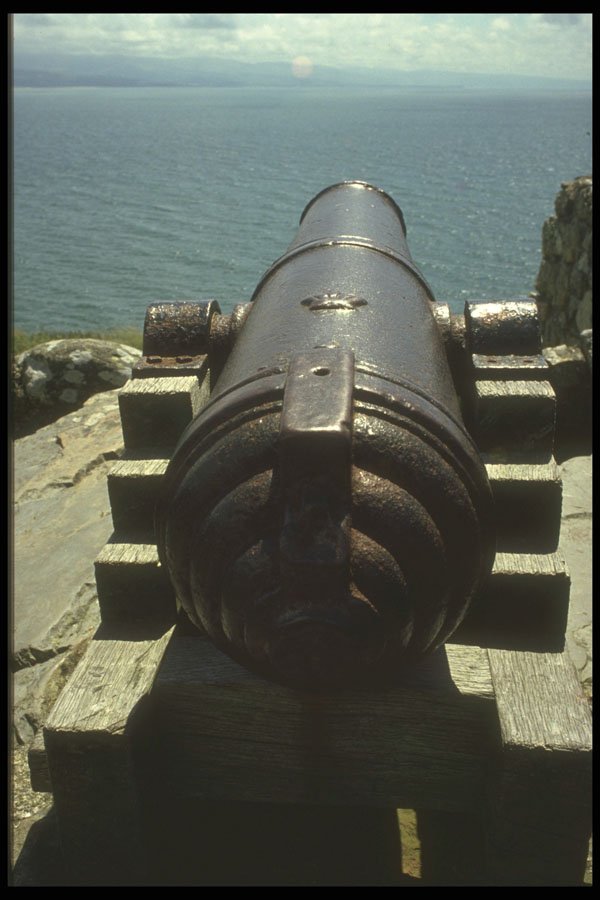 640065 Cannon, Cilccieth Castle A4 Photo Print