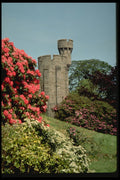 640071 Penrhyn Castle A4 Photo Print