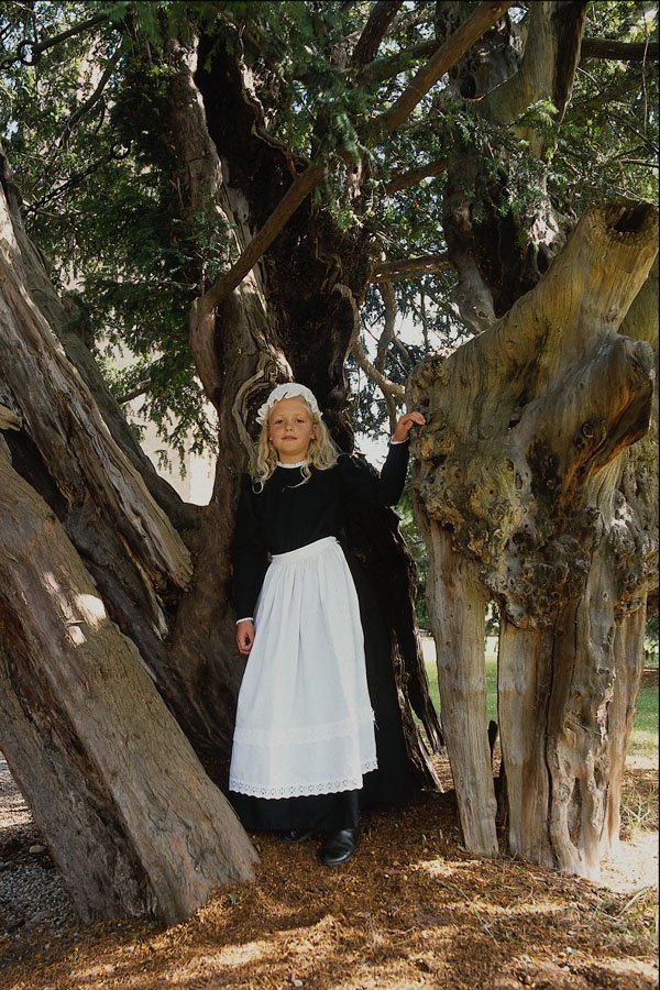 640095 Ancient Yew Tree, 2000 Years Old, St. Mary's Overton A4 Photo Print