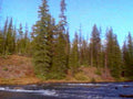 6413001980s 1990s A4 Photo Print