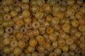 642023 Melon Beads A4 Photo Print