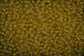 642025 Yellow Twinkles A4 Photo Print