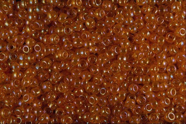 642026 Coral Twinkles A4 Photo Print