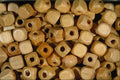 642059 Maple Cubes A4 Photo Print