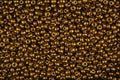 642065 Brass Sparkles A4 Photo Print