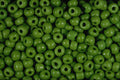 642068 Mini Limes A4 Photo Print