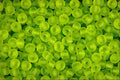 642086 Glow Beads A4 Photo Print