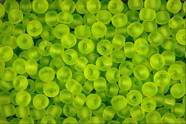 642086 Glow Beads A4 Photo Print