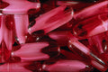 642088 Cherry Candies A4 Photo Print