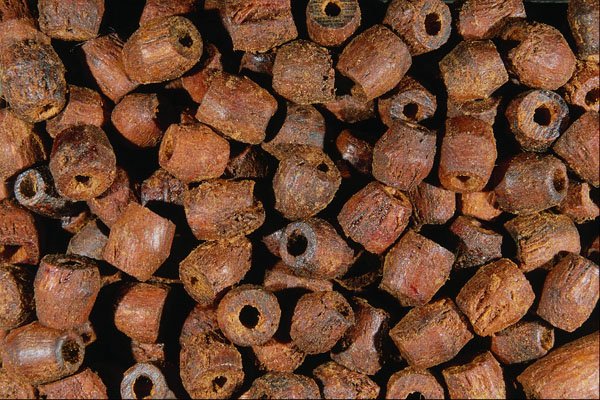 642089 Corky Bits A4 Photo Print