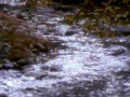6430001980s 1990s A4 Photo Print