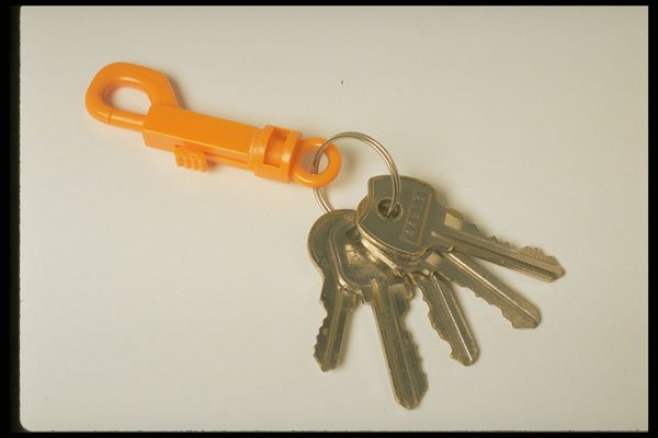 643017 Key Ring A4 Photo Print