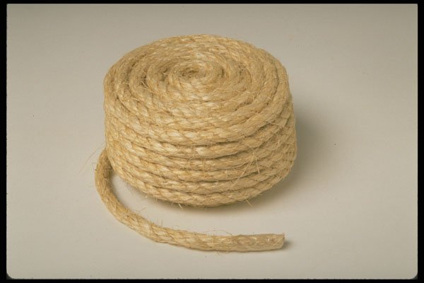 643022 Rope A4 Photo Print
