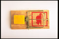 643029 Mousetrap A4 Photo Print