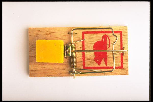 643029 Mousetrap A4 Photo Print