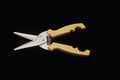 643042 Kitchen Shears A4 Photo Print