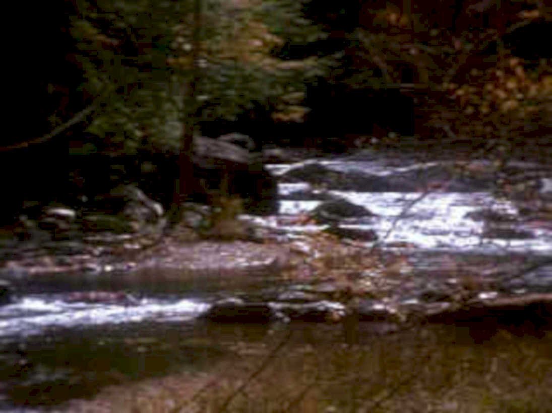 6432001980s 1990s A4 Photo Print