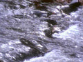 6435001980s 1990s A4 Photo Print