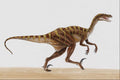 644001 Velociraptor, A Cretaceous Carnivore A4 Photo Print