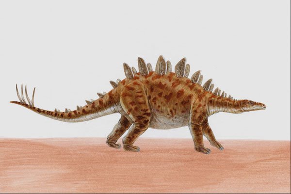 644002 Tuojiangosaurus, A Jurassic Herbivore A4 Photo Print
