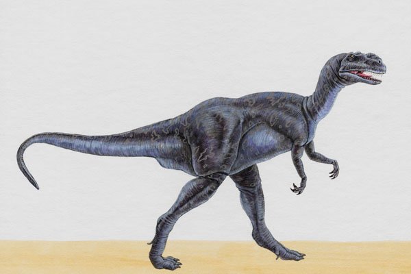 644004 Yangchuanosaurus, A Jurassic Carnivore A4 Photo Print