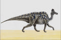 644005 Hypacrosaurus, A Cretaceous Herbivore A4 Photo Print