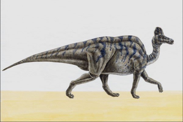 644005 Hypacrosaurus, A Cretaceous Herbivore A4 Photo Print