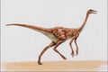 644007 Struthiomimus, A Cretaceous Omnivore A4 Photo Print