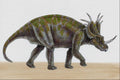 644008 Styracosaurus, A Cretaceous Herbivore A4 Photo Print