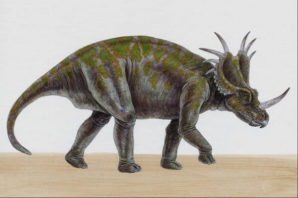 644008 Styracosaurus, A Cretaceous Herbivore A4 Photo Print