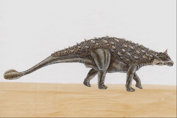 644011 Pinacosaurus, A Cretaceous Herbivore A4 Photo Print