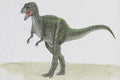 644012 Allosaurus, A Jurassic Carnivore A4 Photo Print