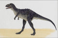 644014 Carnotaurus, A Cretaceous Carnivore A4 Photo Print