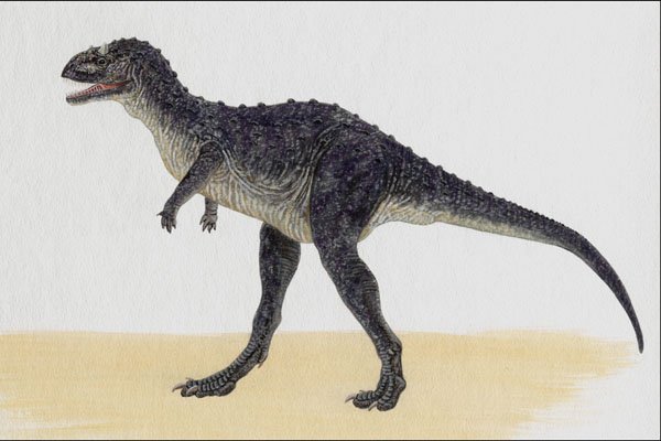 644014 Carnotaurus, A Cretaceous Carnivore A4 Photo Print