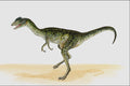 644016 Dilophosaurus, A Jurassic Carnivore A4 Photo Print