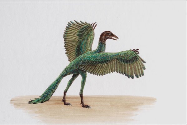 644017 Archaeopteryx, A Jurassic Omnivore A4 Photo Print
