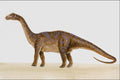 644018 Cetiosaurus, A Jurassic Herbivore A4 Photo Print