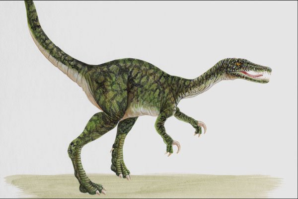 644019 Baryonyx, A Cretaceous Carnivore A4 Photo Print