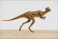 644021 Stegosaurus, A Cretaceous Herbivore A4 Photo Print