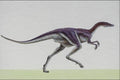 644025 Staurikosaurus, A Triassic Carnivore A4 Photo Print