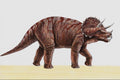 644026 Triceratops, A Cretaceous Herbivore A4 Photo Print