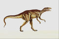 644027 Gasosaurus, A Jurassic Carnivore A4 Photo Print