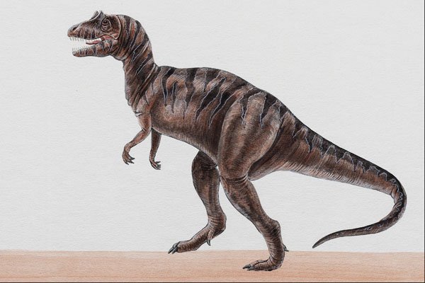 644028 Ceratosaurus, A Jurassic Carnivore A4 Photo Print