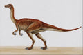 644032 Segnosaurus, A Cretaceous Omnivore A4 Photo Print