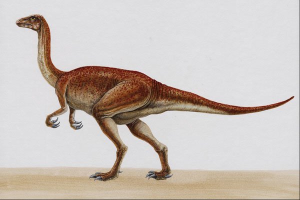 644032 Segnosaurus, A Cretaceous Omnivore A4 Photo Print