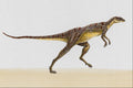 644034 Lesothosaurus, A Jurassic Herbivore A4 Photo Print